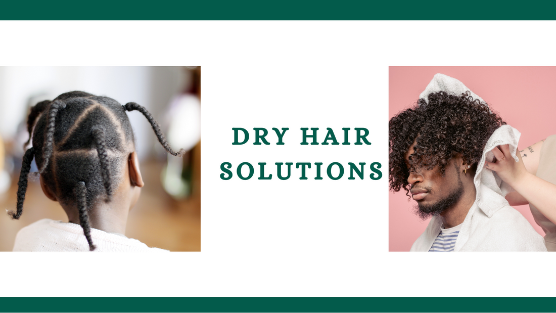 DRY HAIR SOLUTIONS FOR NATURALISTAS!